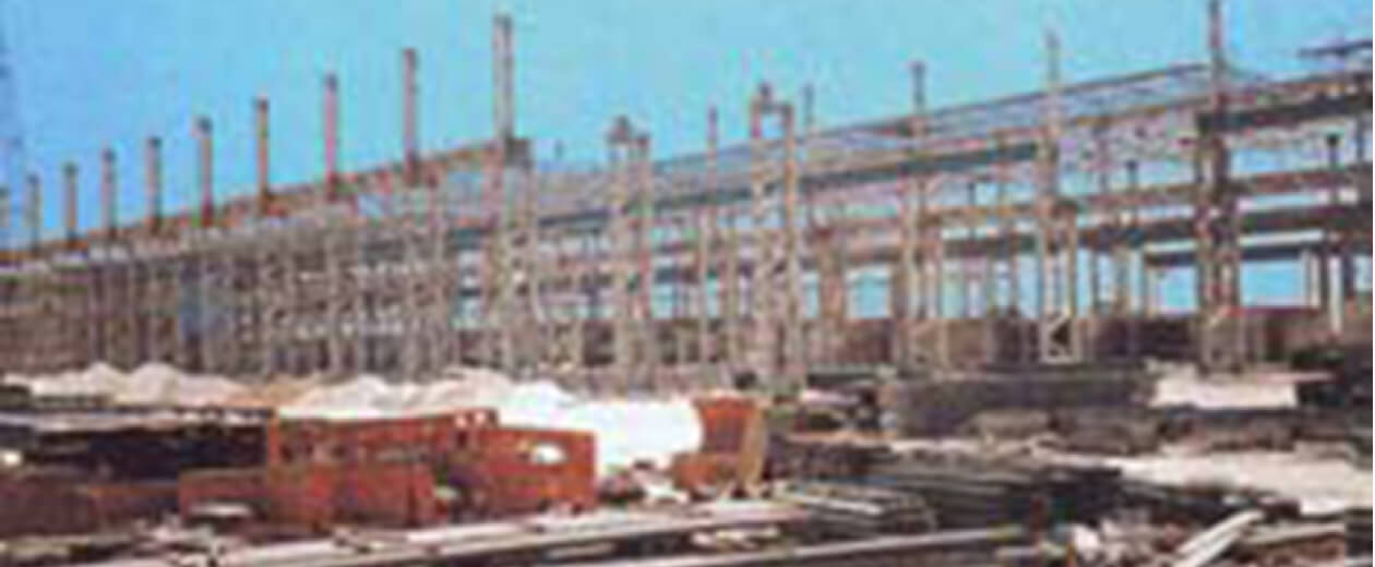 アレキサンドリアナショナル製鉄所